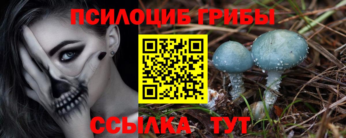 Псилоцибиновые грибы Cubensis Туймазы
